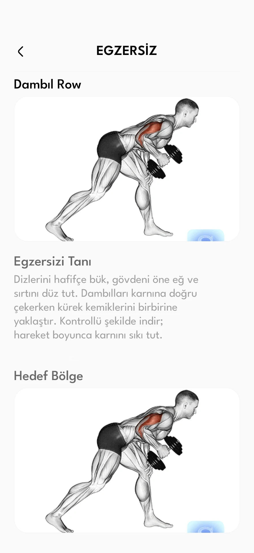 Egzersiz detayı ve hedef bölge